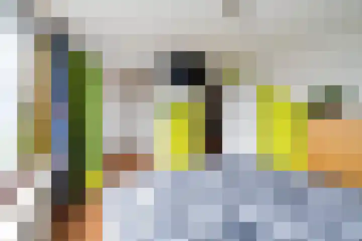 Hieronymus Boschpad 4 Spijkenisse thumbnail 17