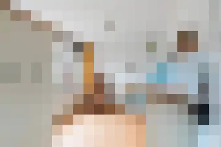 Hieronymus Boschpad 4 Spijkenisse thumbnail 18