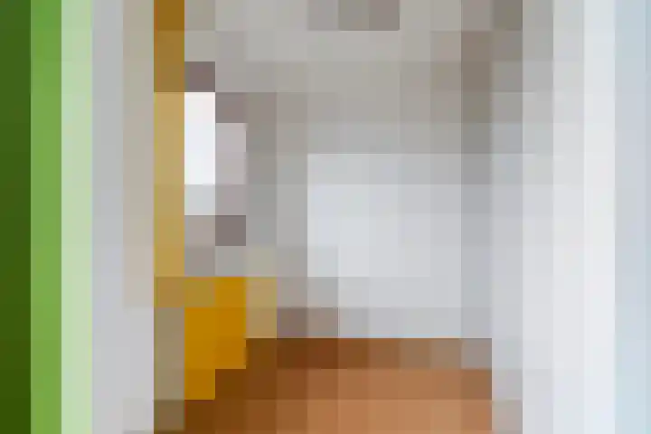 Hieronymus Boschpad 4 Spijkenisse thumbnail 19