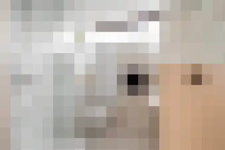 Hieronymus Boschpad 4 Spijkenisse thumbnail 21
