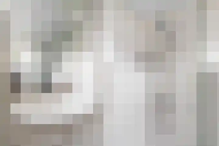 Hieronymus Boschpad 4 Spijkenisse thumbnail 22