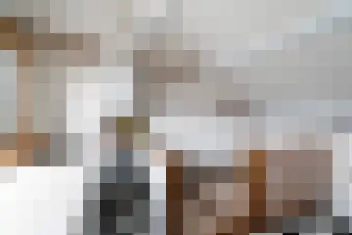 Hieronymus Boschpad 4 Spijkenisse thumbnail 23