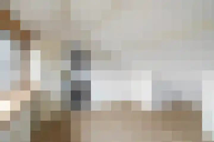 Hieronymus Boschpad 4 Spijkenisse thumbnail 24