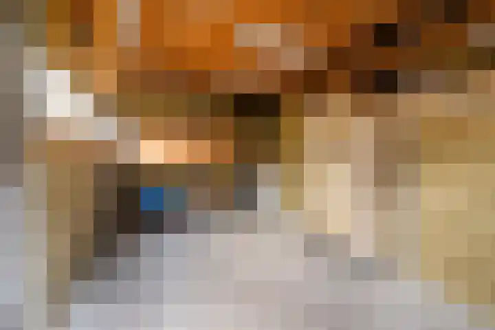 Hieronymus Boschpad 4 Spijkenisse thumbnail 25