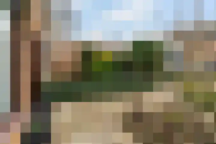 Hieronymus Boschpad 4 Spijkenisse thumbnail 26