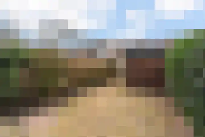 Hieronymus Boschpad 4 Spijkenisse thumbnail 27