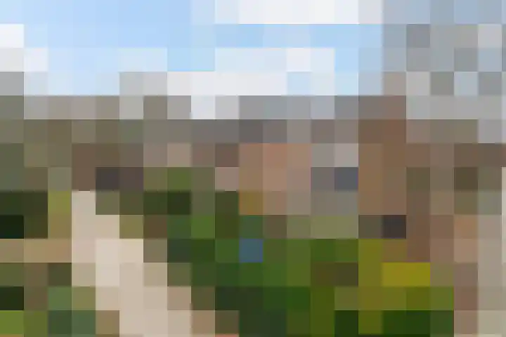 Hieronymus Boschpad 4 Spijkenisse thumbnail 28