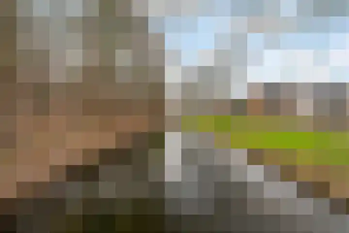 Hieronymus Boschpad 4 Spijkenisse thumbnail 29