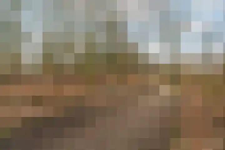 Hieronymus Boschpad 4 Spijkenisse thumbnail 30