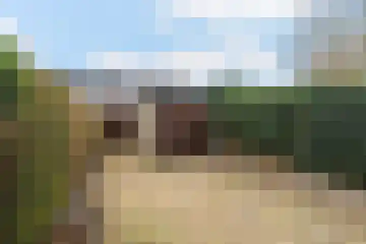 Hieronymus Boschpad 4 Spijkenisse thumbnail 5