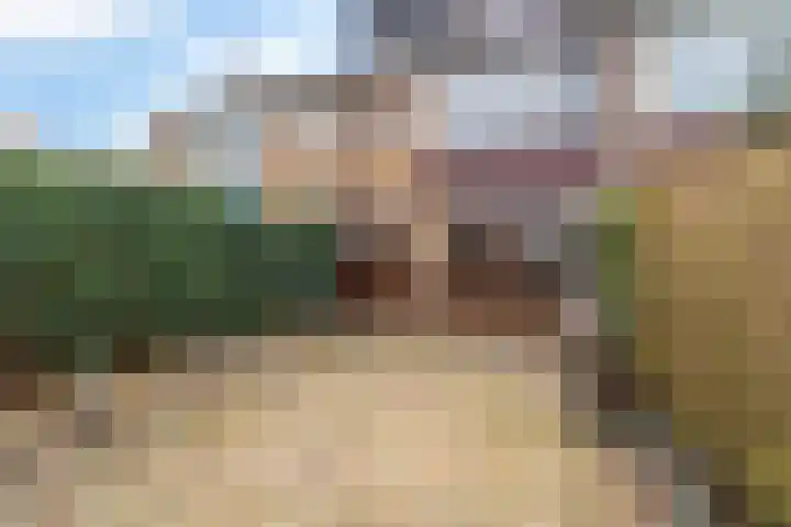 Hieronymus Boschpad 4 Spijkenisse thumbnail 6