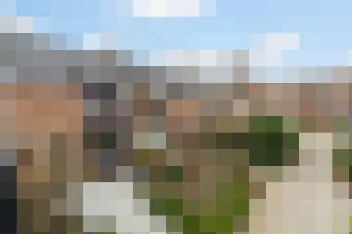Hieronymus Boschpad 4 Spijkenisse thumbnail 7