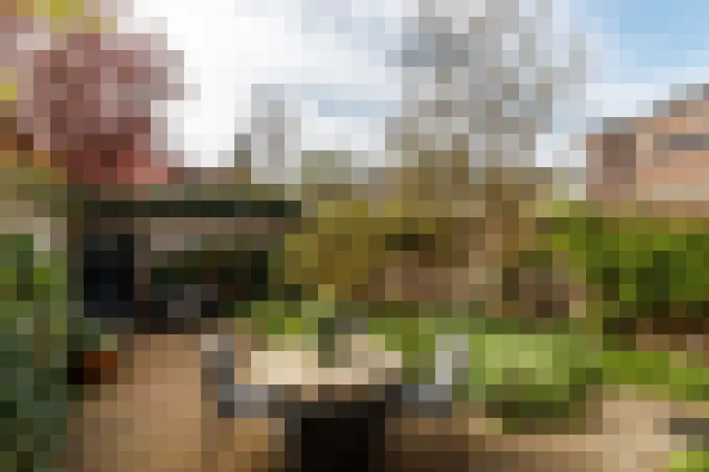 Hieronymusplantsoen 10 Utrecht thumbnail 12