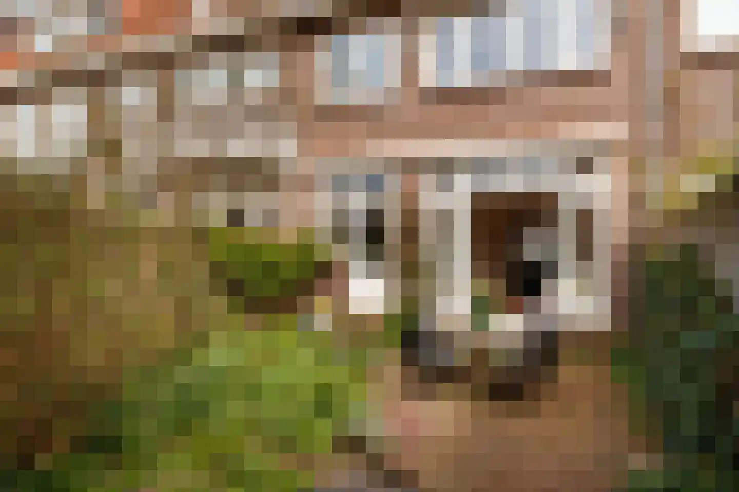 Hieronymusplantsoen 10 Utrecht thumbnail 13