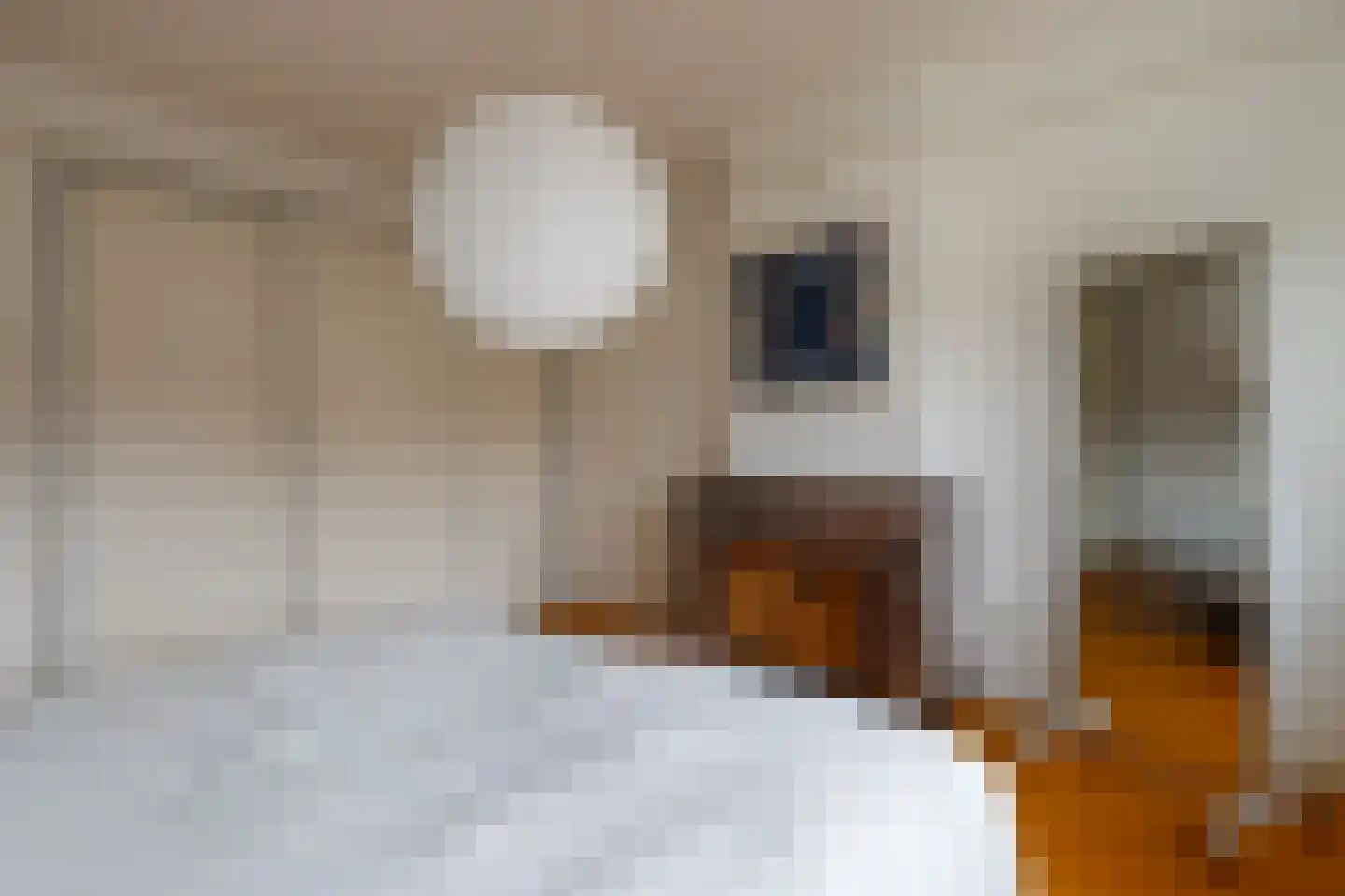 Hieronymusplantsoen 10 Utrecht thumbnail 20