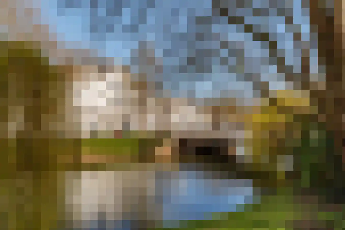Hieronymusplantsoen 10 Utrecht thumbnail 31