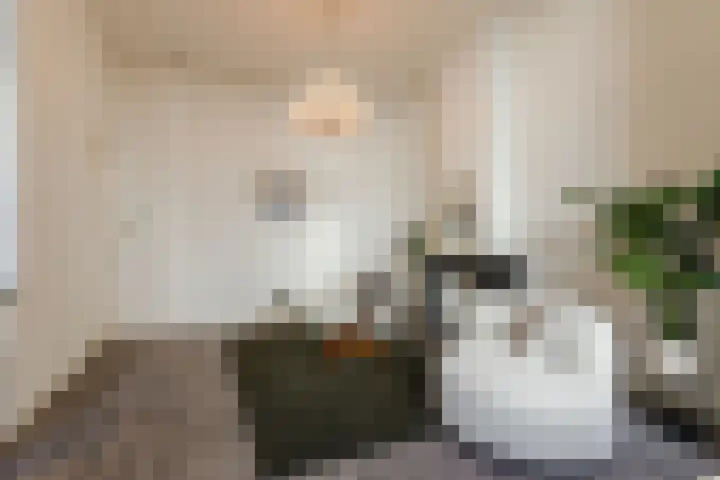 Hieronymusplantsoen 2 A Utrecht thumbnail 10