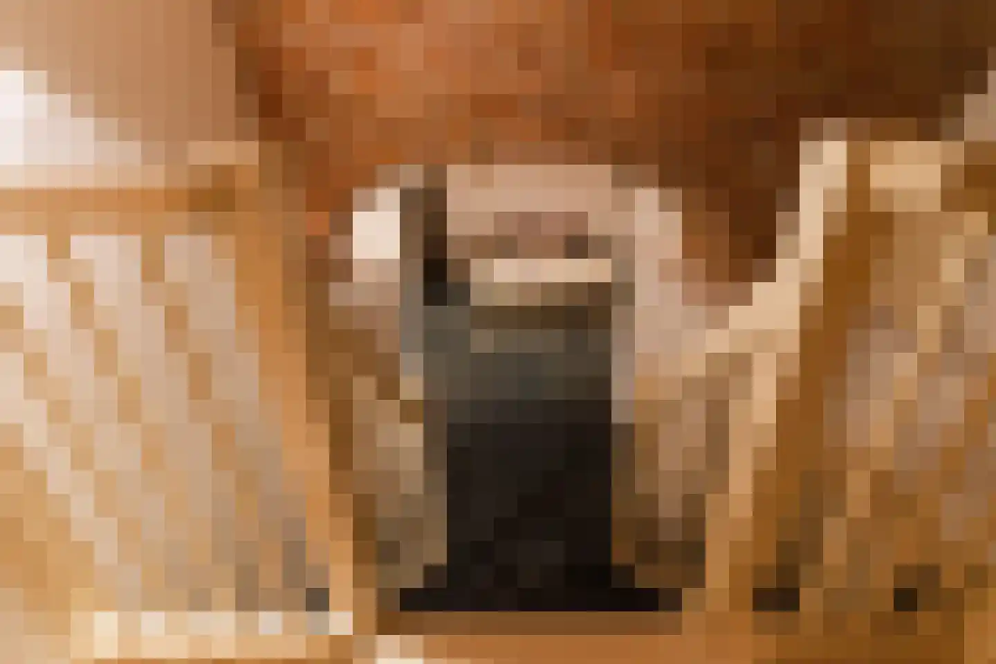 Hieronymusplantsoen 2 A Utrecht thumbnail 27