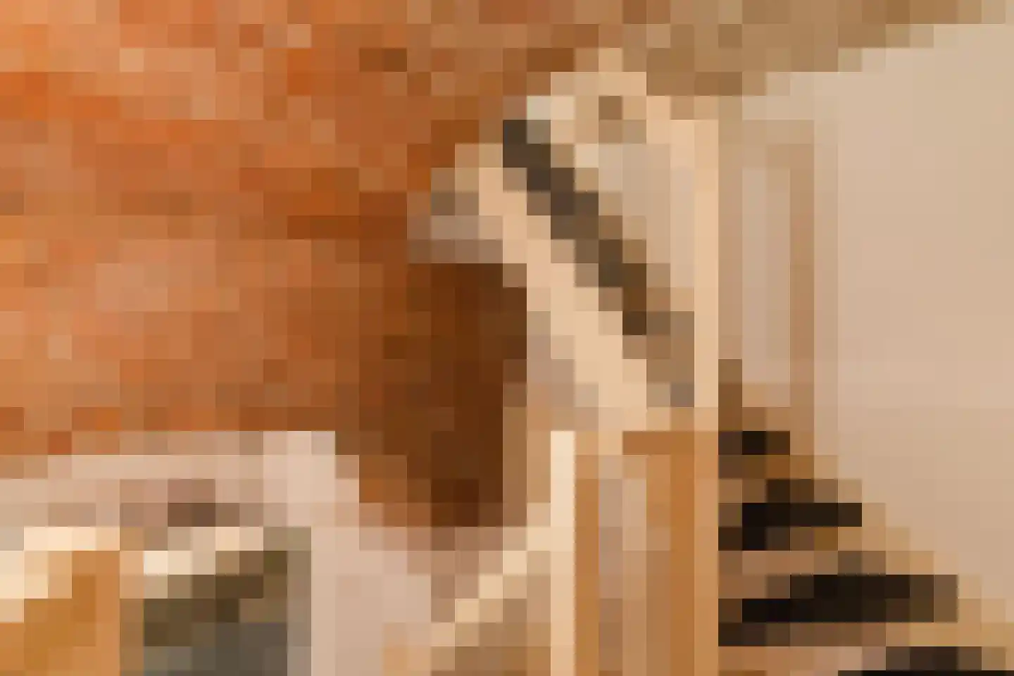 Hieronymusplantsoen 2 A Utrecht thumbnail 28