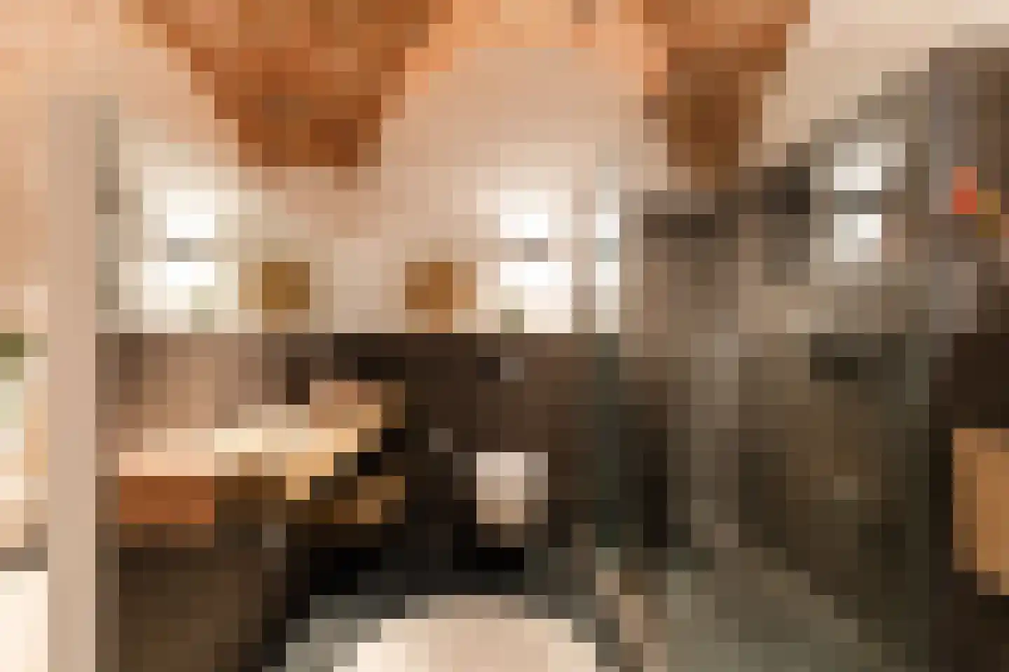 Hieronymusplantsoen 2 A Utrecht thumbnail 35