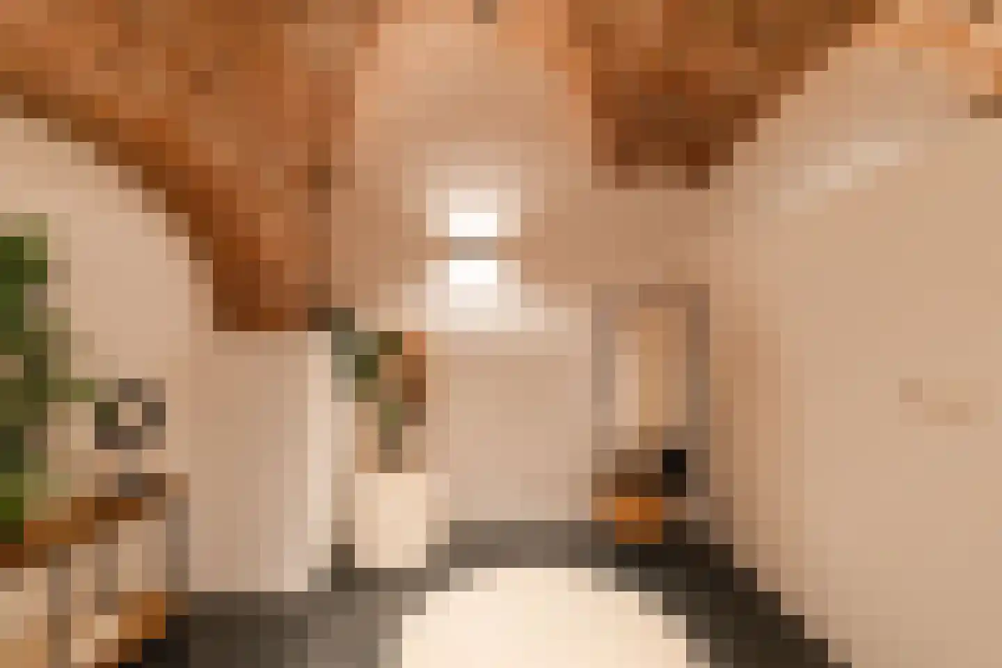 Hieronymusplantsoen 2 A Utrecht thumbnail 39