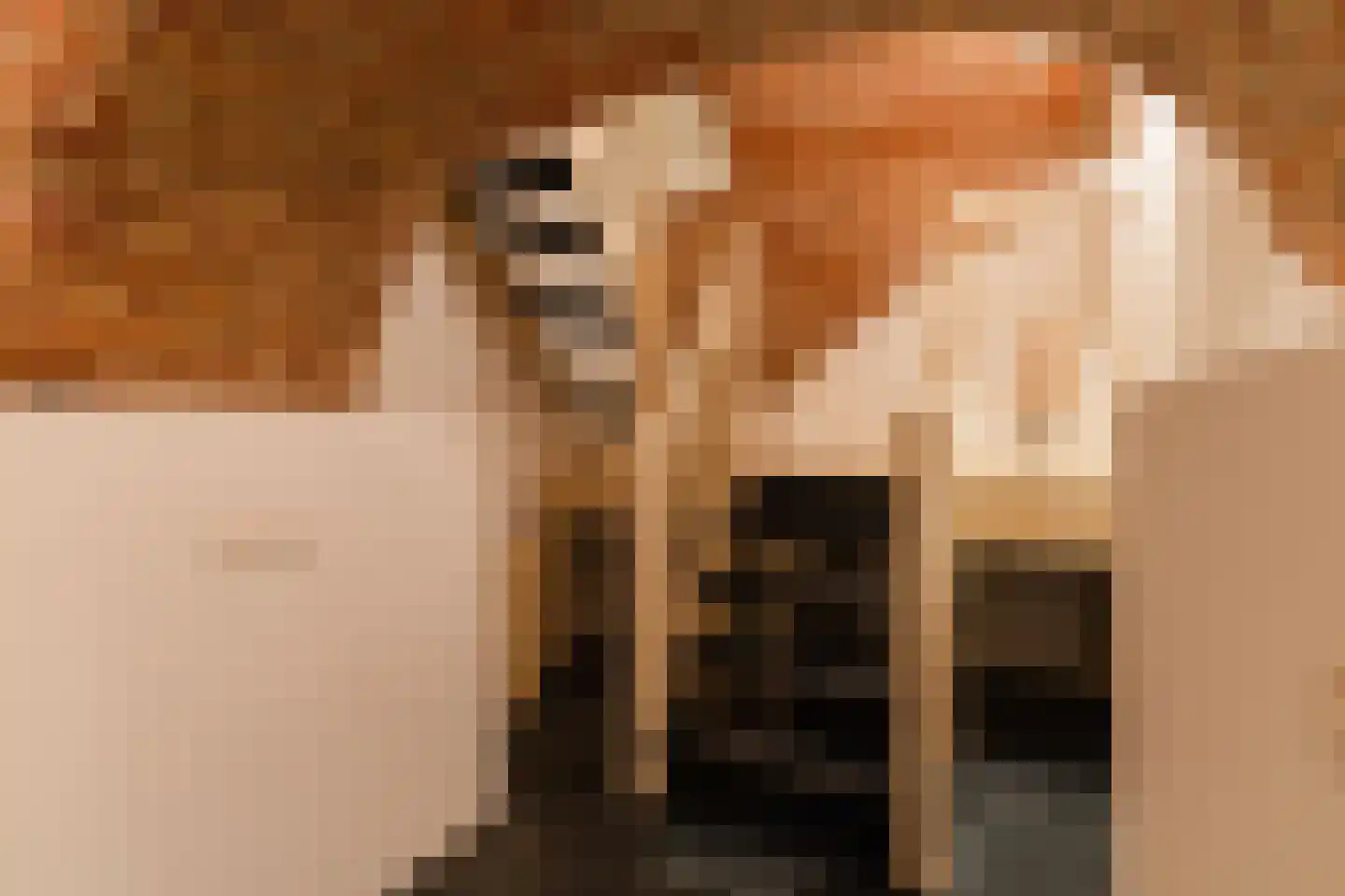 Hieronymusplantsoen 2 A Utrecht thumbnail 41