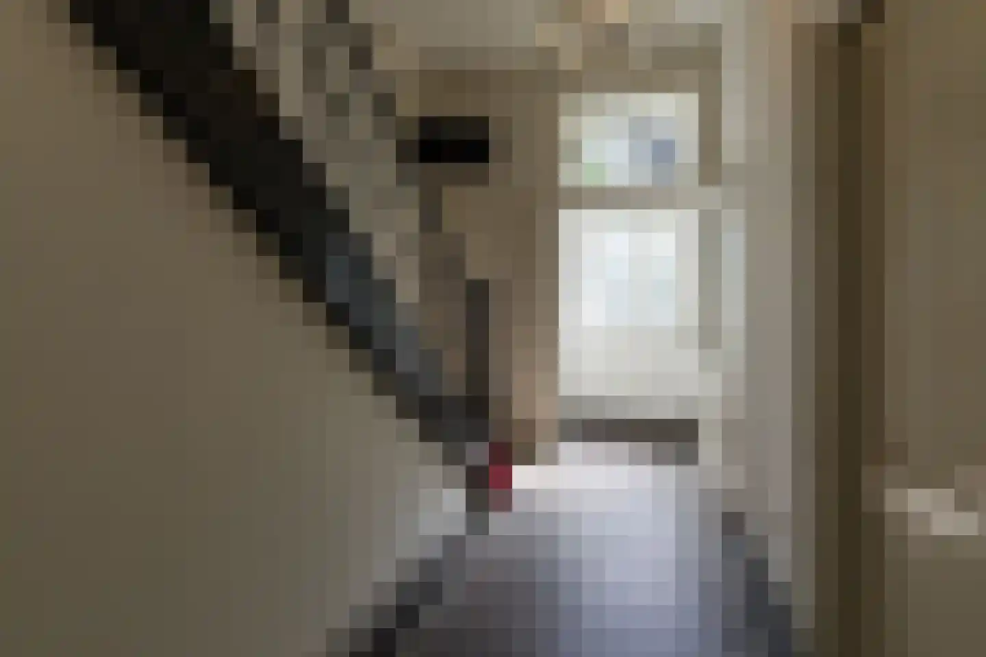 Hieronymusplantsoen 2 A Utrecht thumbnail 42