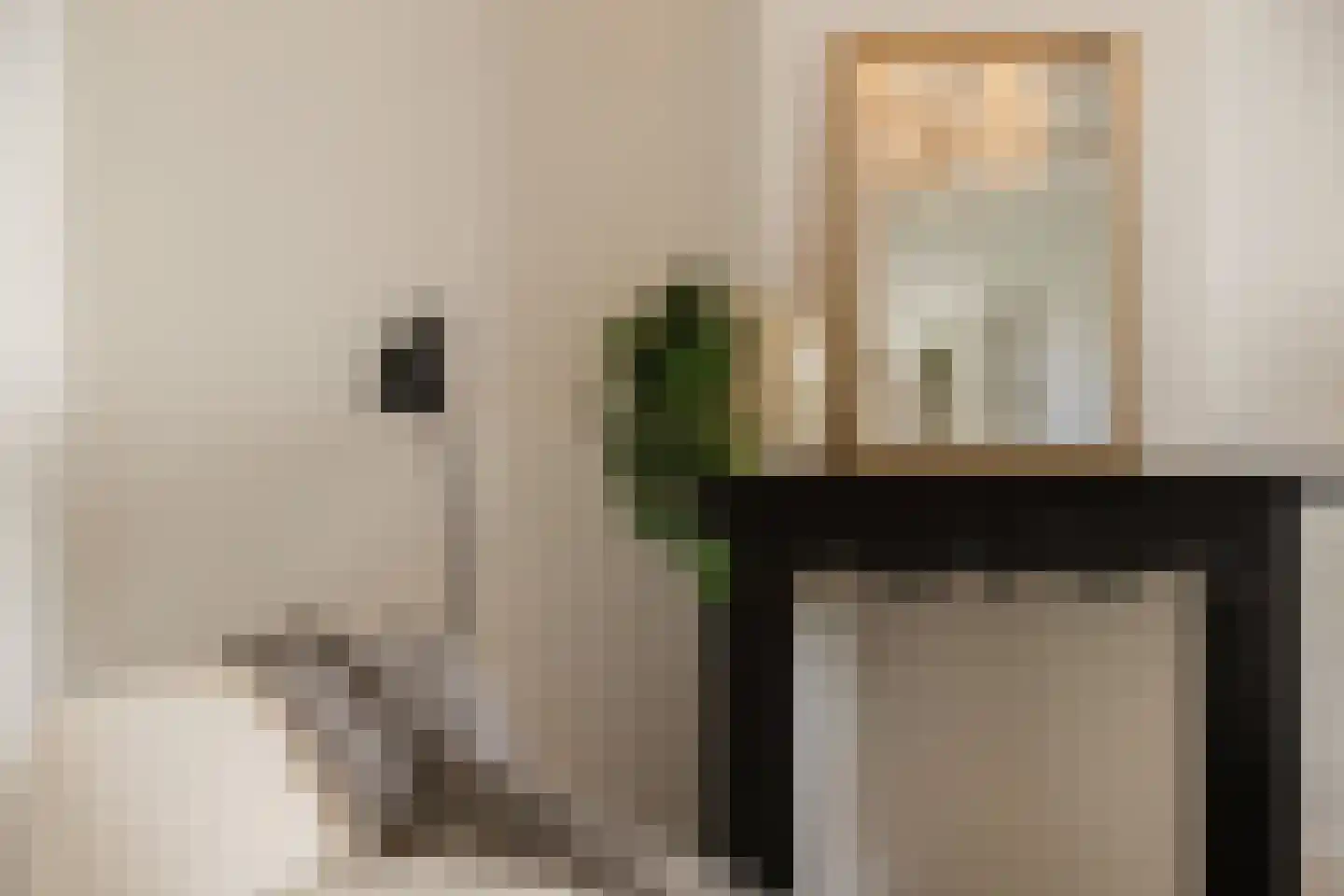 Hieronymusplantsoen 2 A Utrecht thumbnail 9