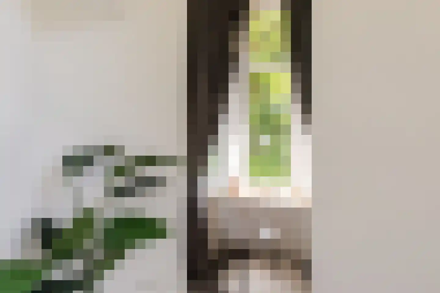 Hieronymusplantsoen 2 B Utrecht thumbnail 25