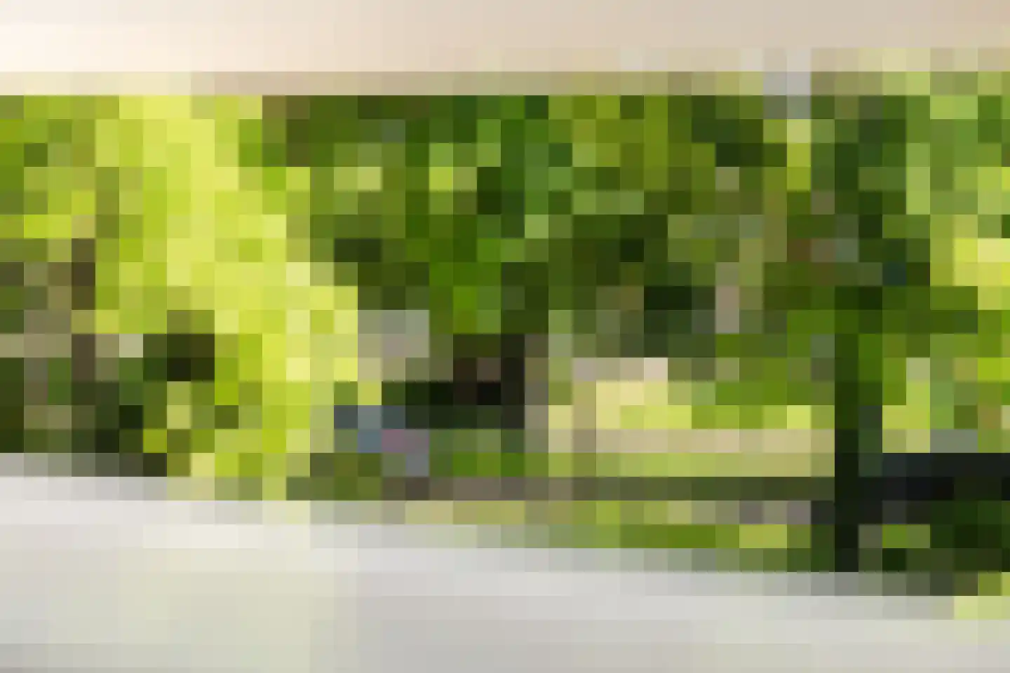 Hieronymusplantsoen 2 B Utrecht thumbnail 26