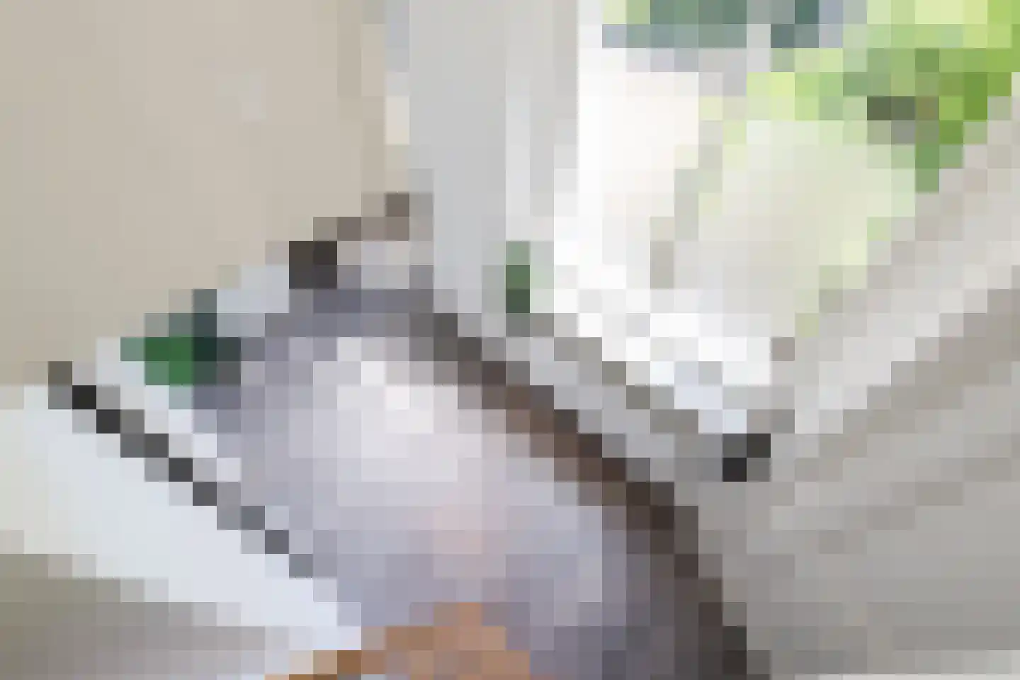 Hieronymusplantsoen 2 B Utrecht thumbnail 28