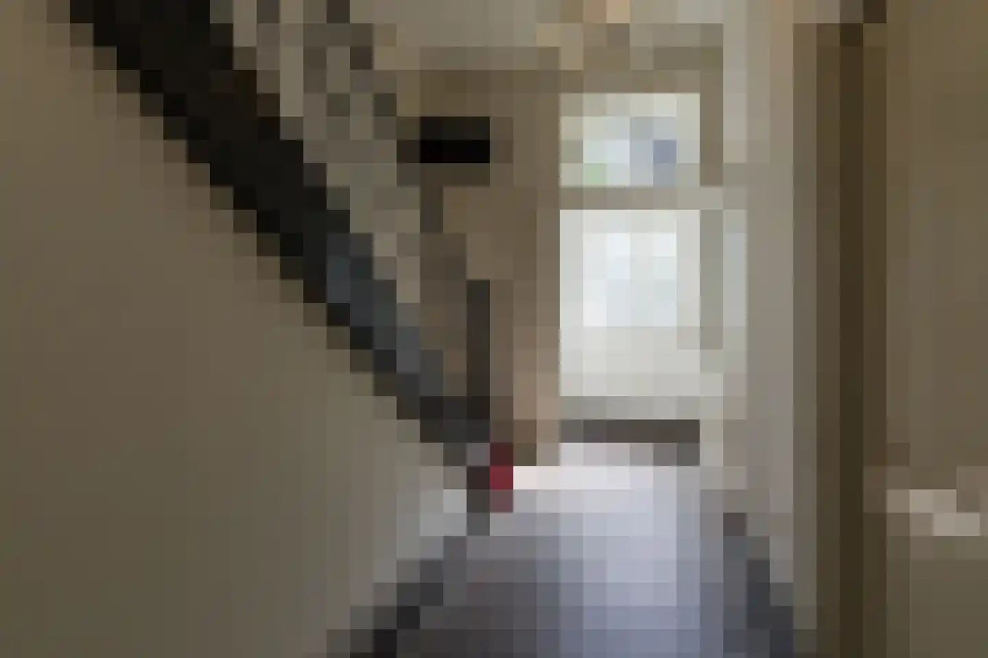 Hieronymusplantsoen 2 B Utrecht thumbnail 34