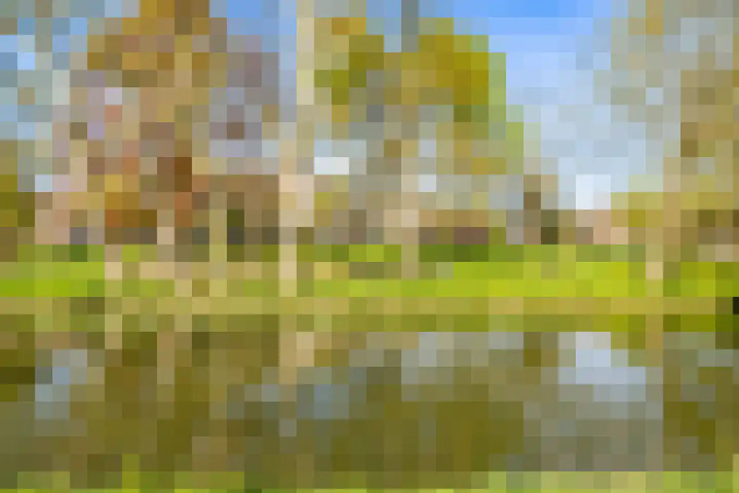 Hieronymusplantsoen 2 B Utrecht thumbnail 41