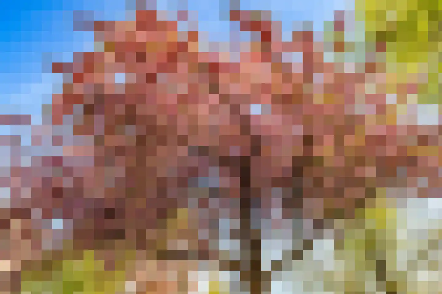 Hieronymusplantsoen 2 B Utrecht thumbnail 46