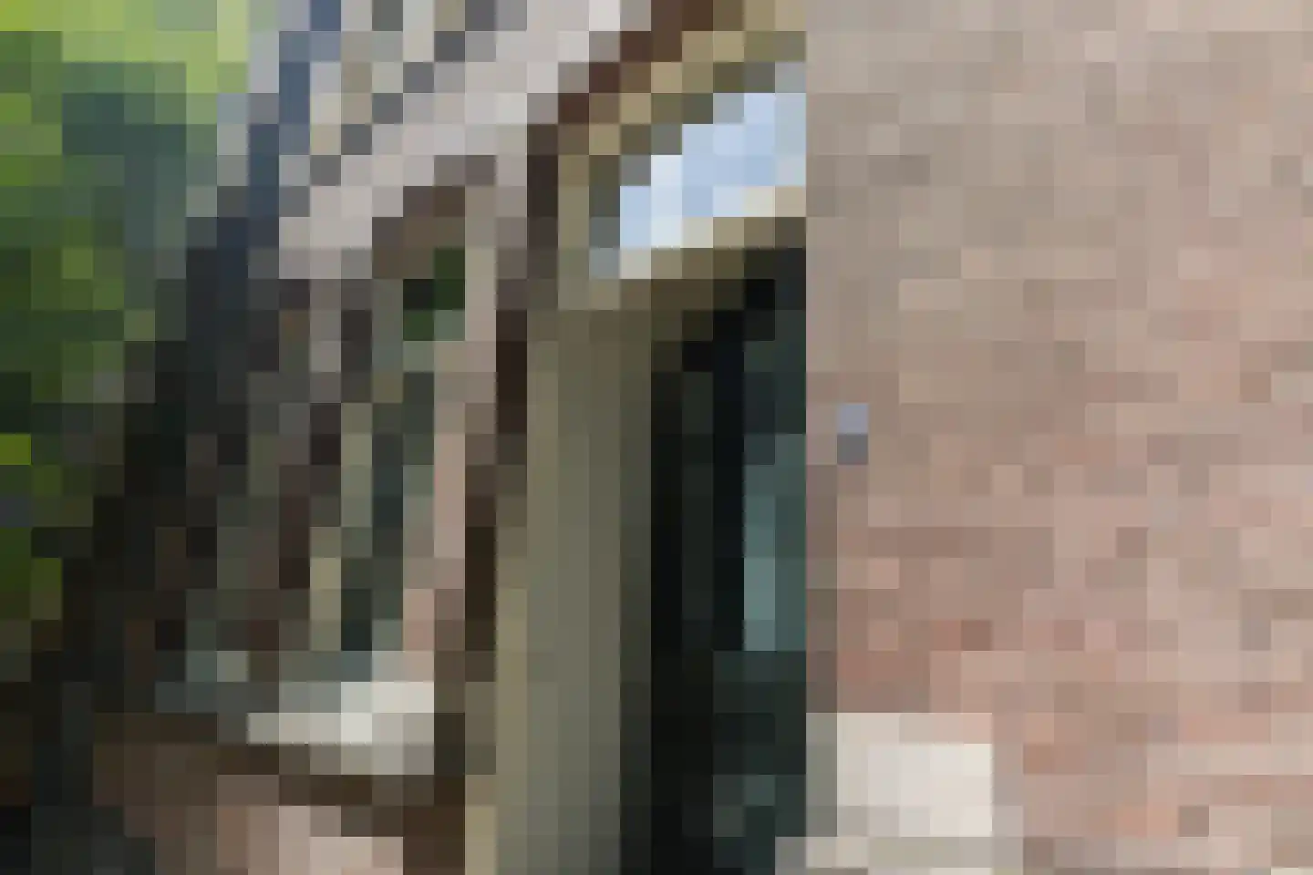 Hieronymusplantsoen 2 B Utrecht thumbnail 5