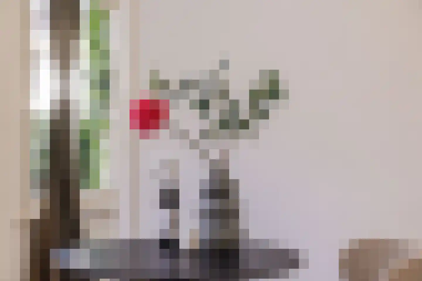 Hieronymusplantsoen 2 C Utrecht thumbnail 11
