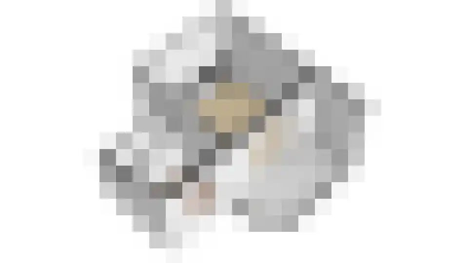 Hieronymusplantsoen 2 C Utrecht thumbnail 48