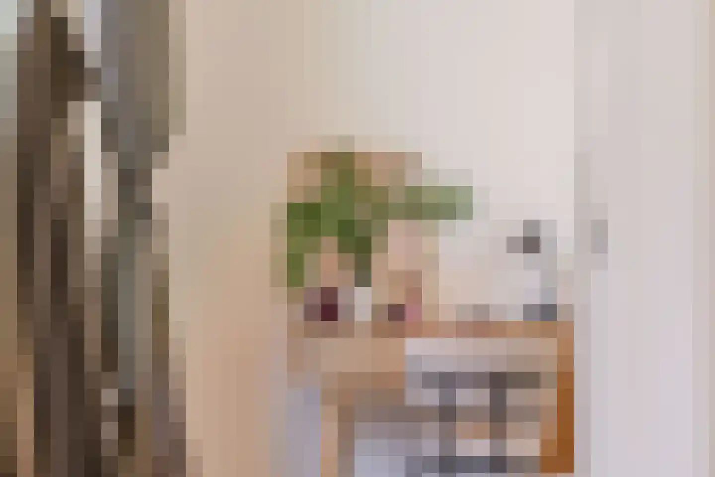 Hieronymusplantsoen 2 C Utrecht thumbnail 9
