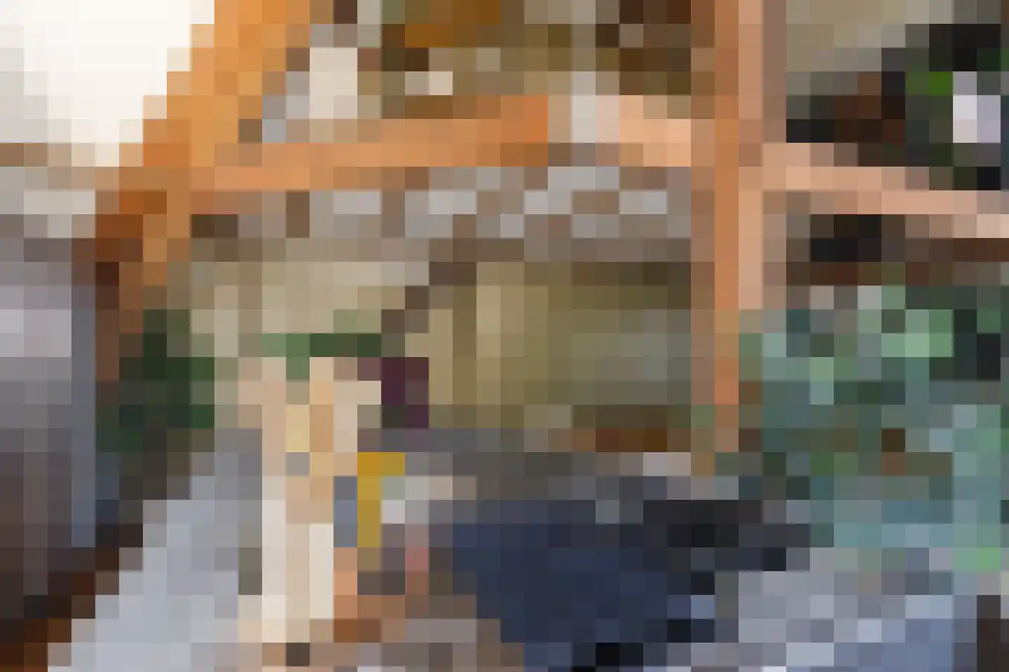 Hieronymusplantsoen 2 D Utrecht thumbnail 15