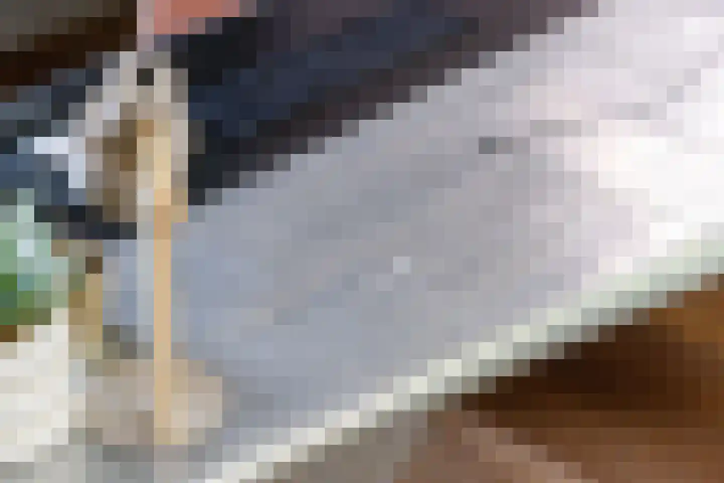 Hieronymusplantsoen 2 D Utrecht thumbnail 29