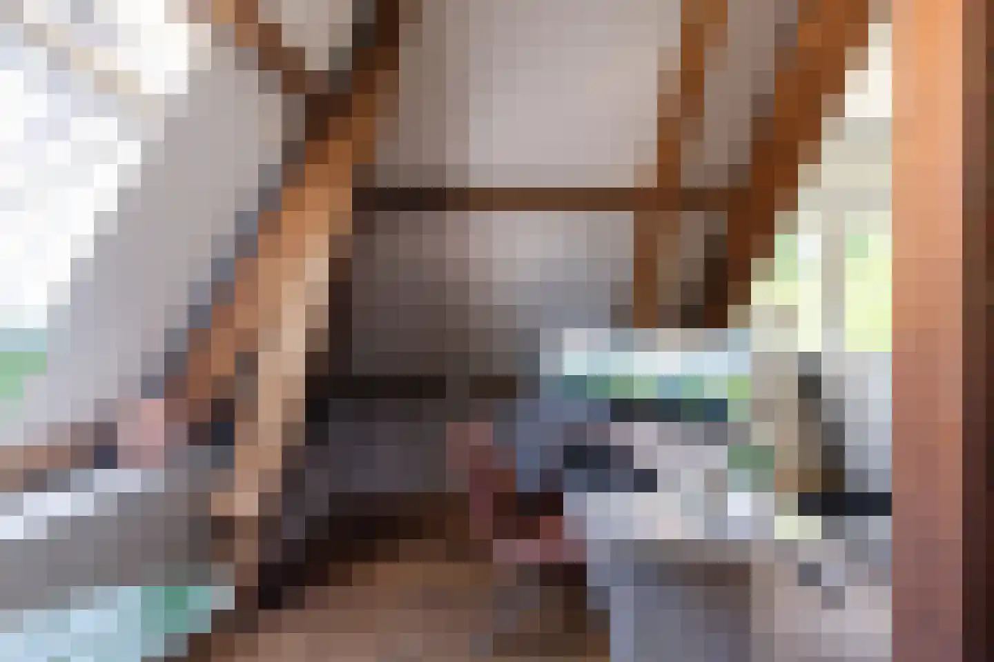 Hieronymusplantsoen 2 D Utrecht thumbnail 30
