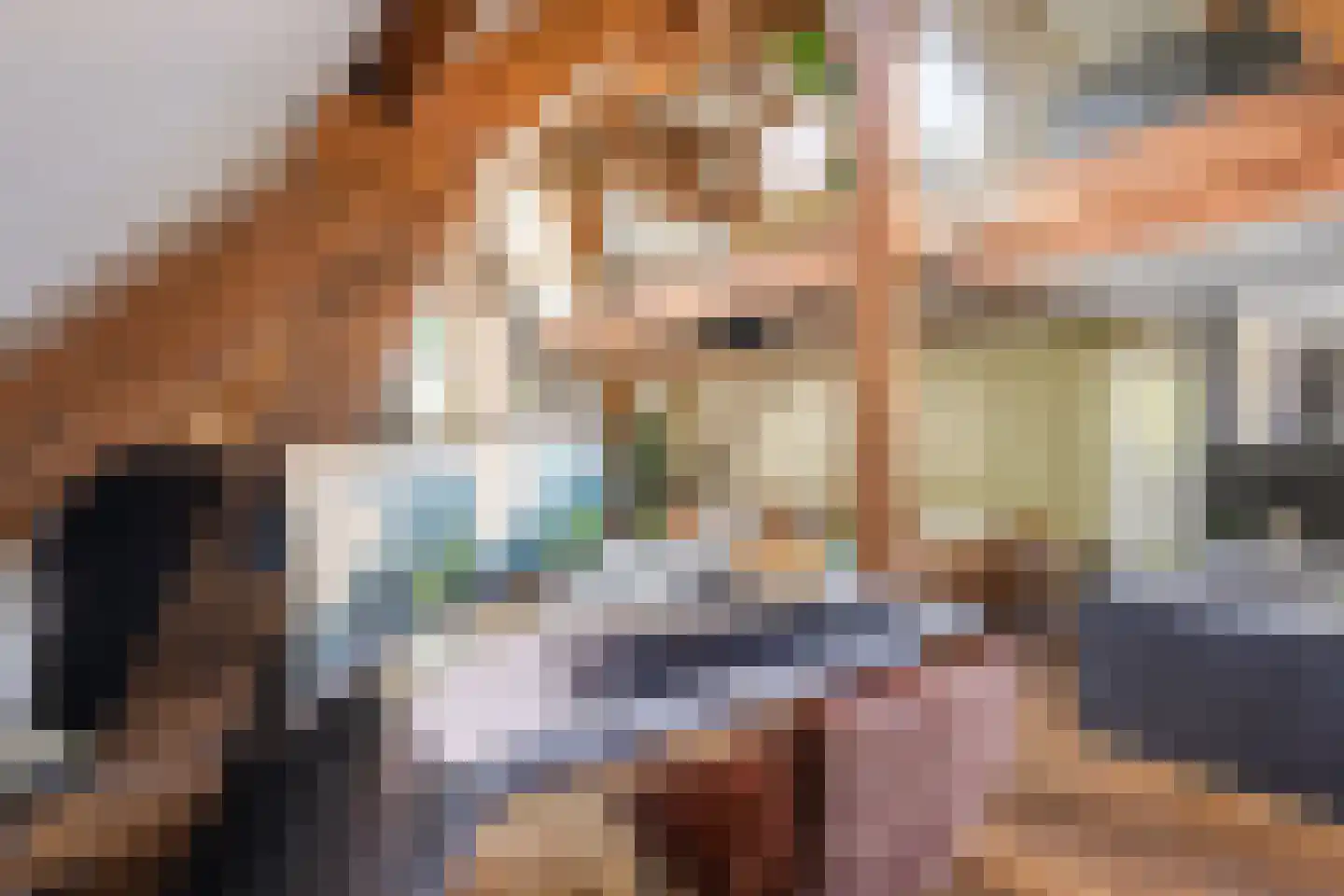 Hieronymusplantsoen 2 D Utrecht thumbnail 31