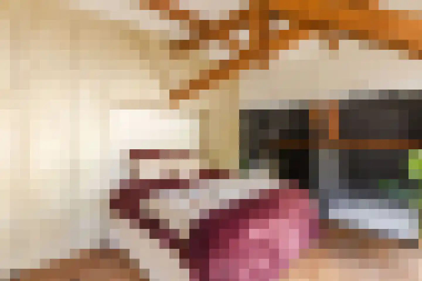 Hieronymusplantsoen 2 D Utrecht thumbnail 41
