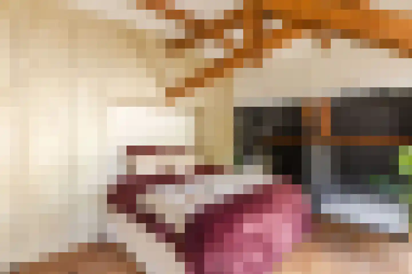 Hieronymusplantsoen 2 D Utrecht thumbnail 41