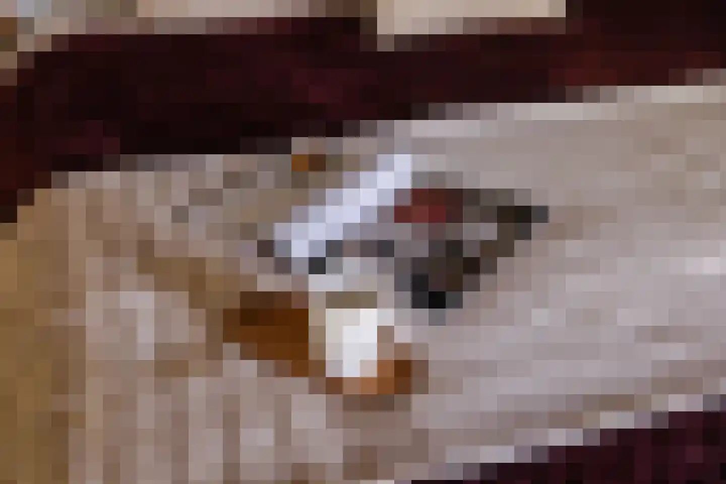 Hieronymusplantsoen 2 D Utrecht thumbnail 42