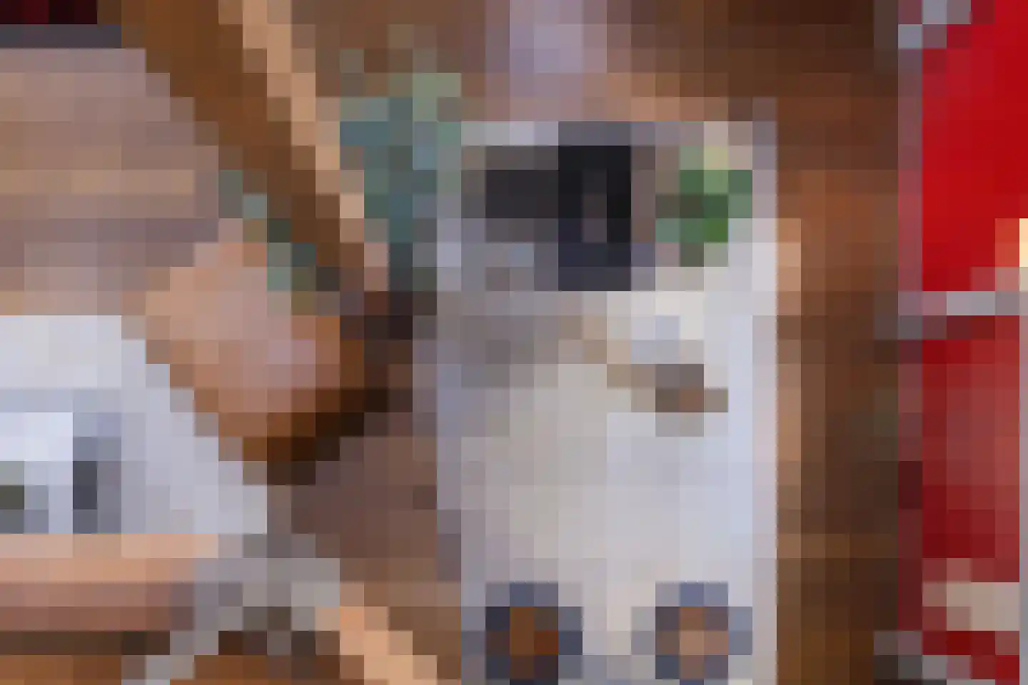 Hieronymusplantsoen 2 D Utrecht thumbnail 48