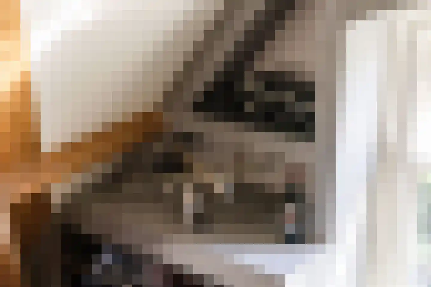 Hieronymusplantsoen 2 D Utrecht thumbnail 49