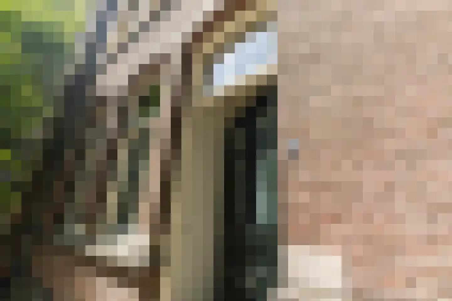 Hieronymusplantsoen 2 D Utrecht thumbnail 5