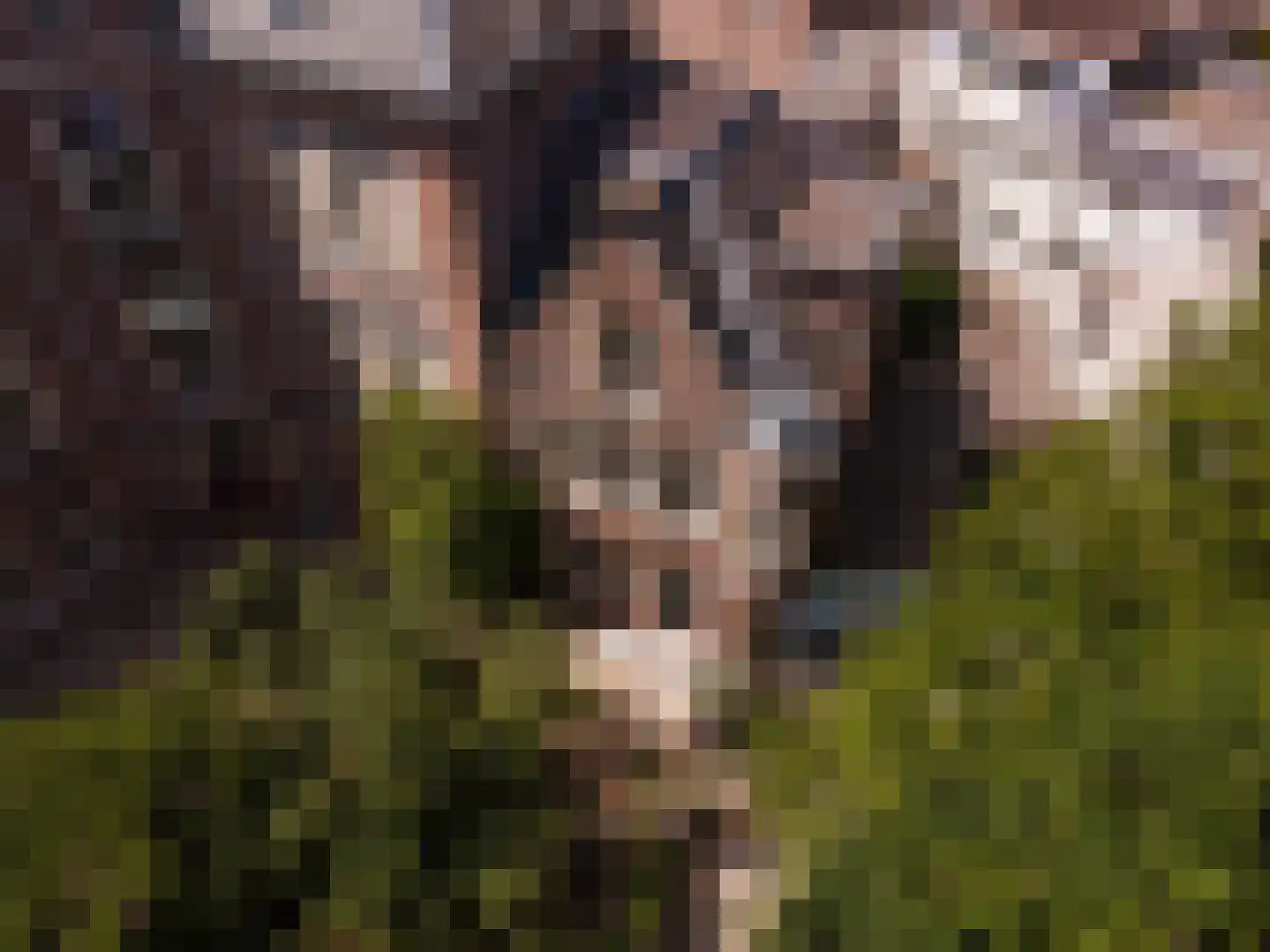 Hieronymusplantsoen 2 D Utrecht thumbnail 52