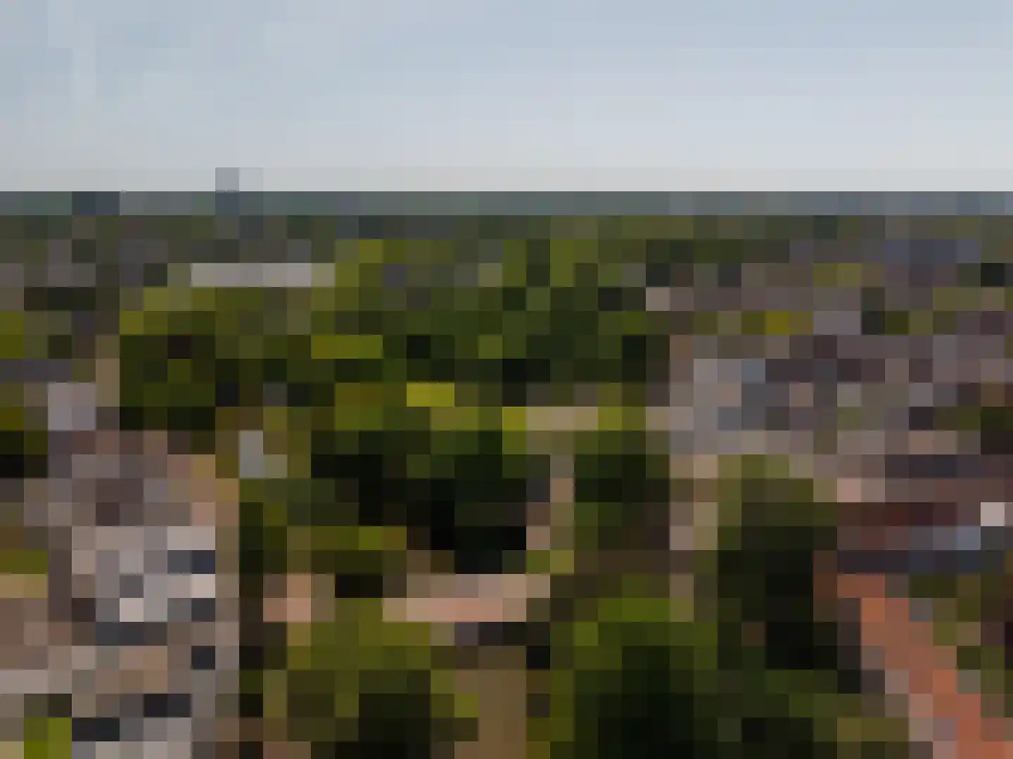 Hieronymusplantsoen 2 D Utrecht thumbnail 55